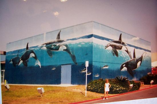 Wyland's Whaling Wall