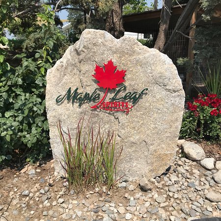 Maple Leaf Spirits Inc