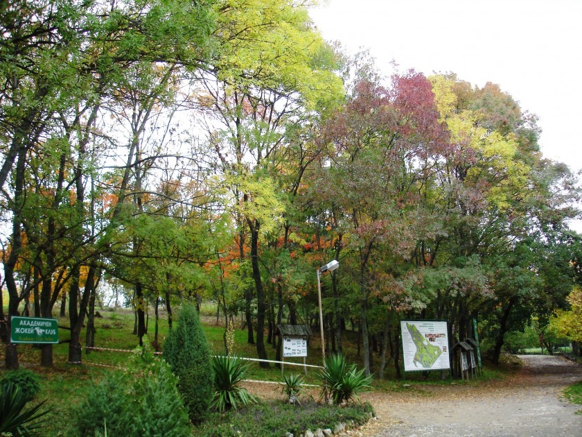 Botanical Garden Ecopark