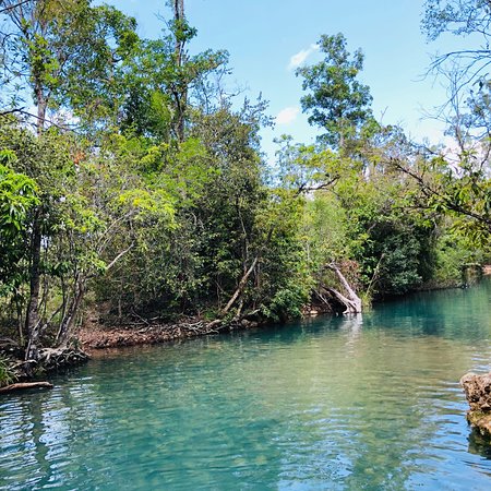 Cardwell Forest Drive