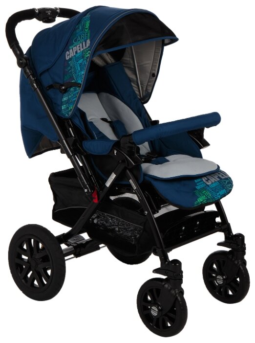 Capella Pioneer Village