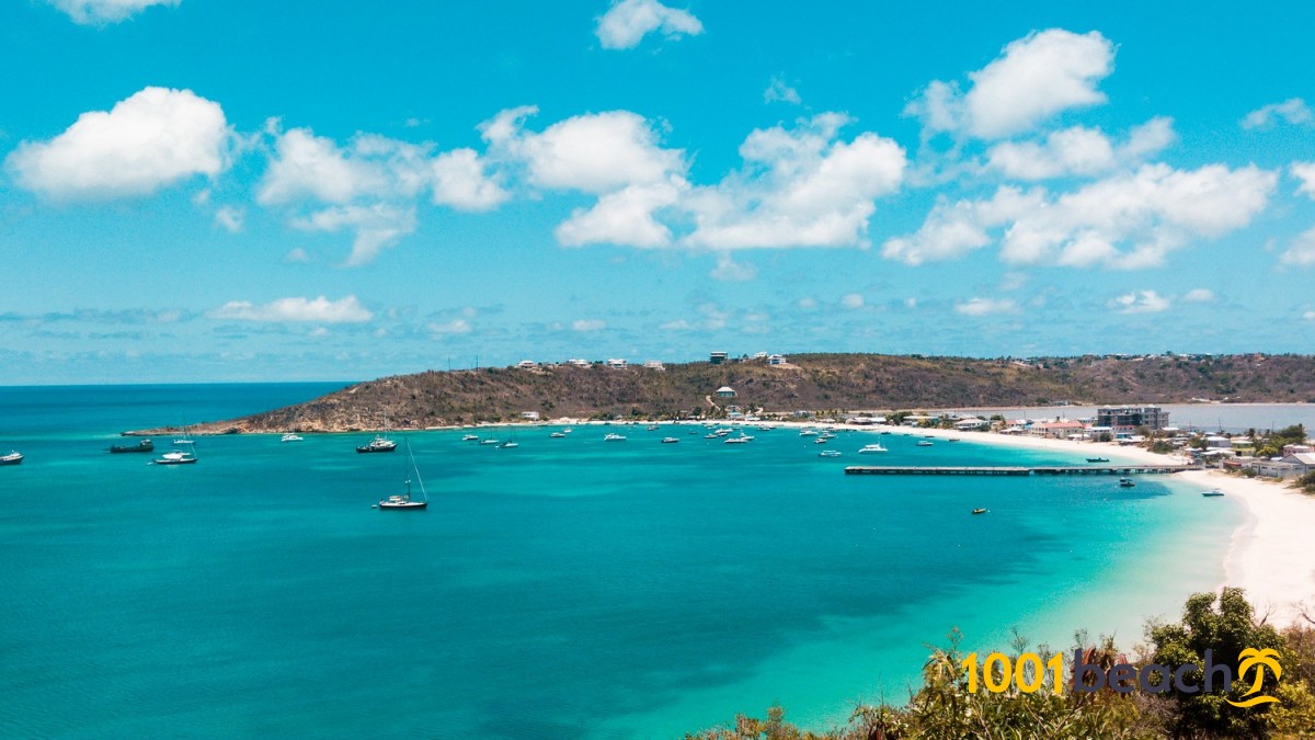 Anguilla Bijoux