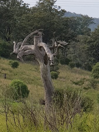 Scone Mountain National Park