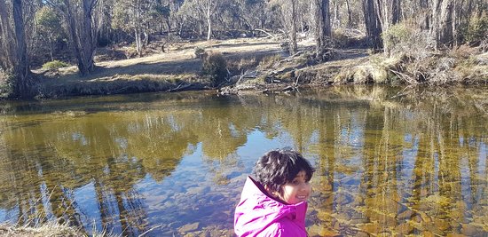 Gaden Trout Hatchery