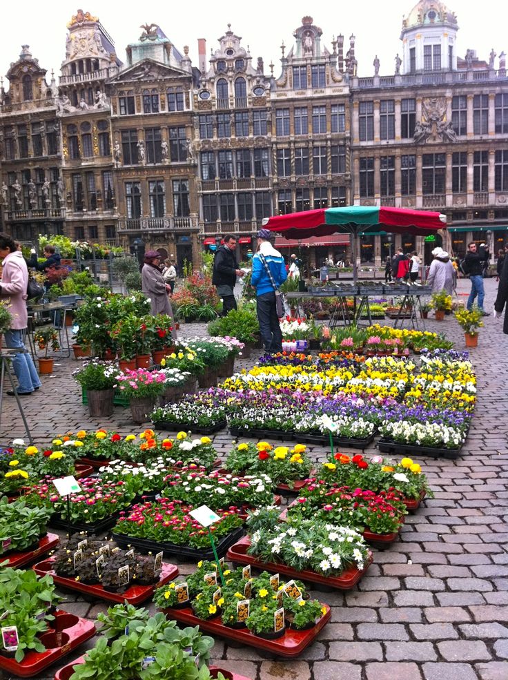 Bières et tout le Bazar
