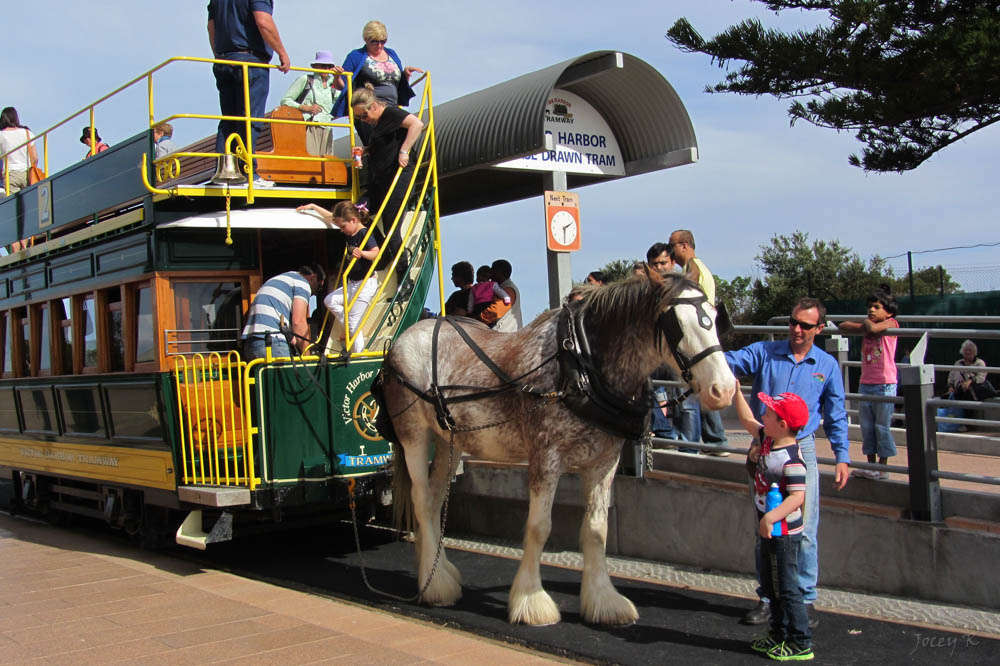 Victor Harbor Horse Drawn Tram