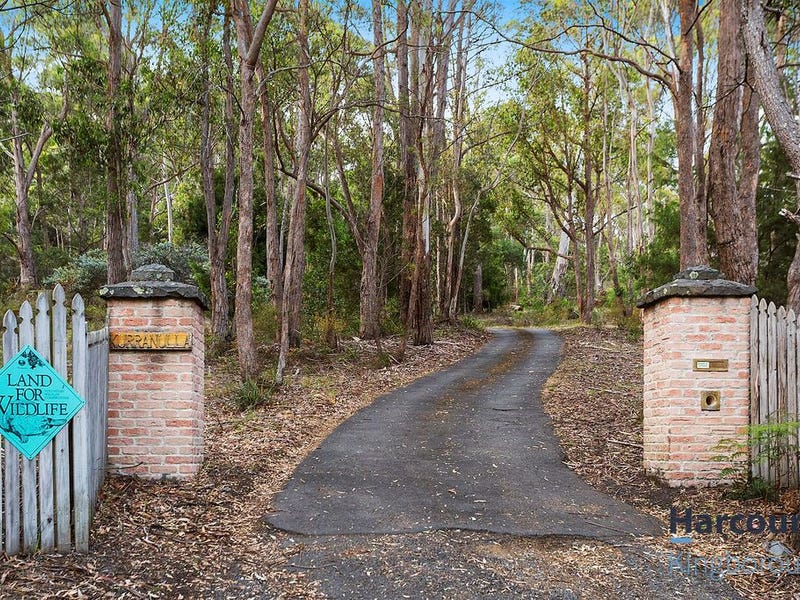 Tinderbox Hill Trail