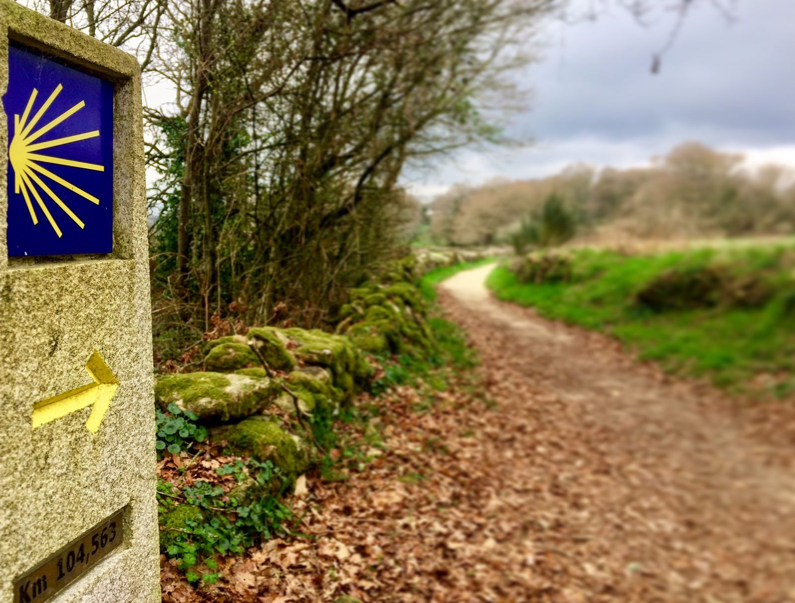 Camino de Santiago