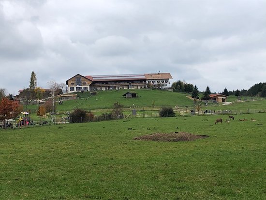 BergTierPark Blindham