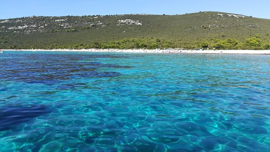 Beach Veli Zal
