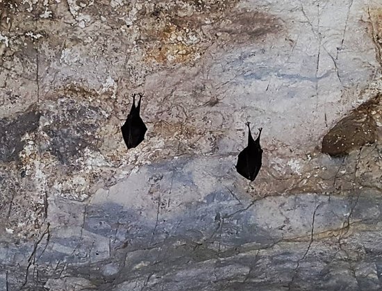 Moghan Cave
