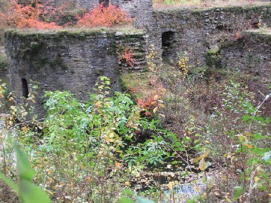 Burgruine Eibach