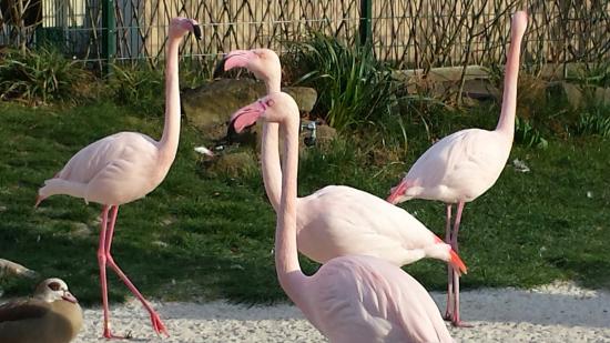 Tierpark und Fossilium Bochum
