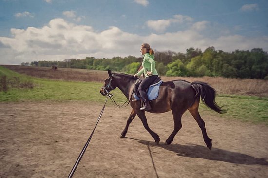 Horse Riding Club Fortuna