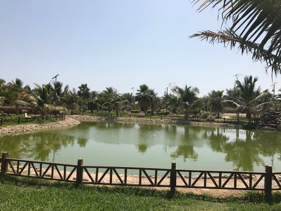 Yanbu Lakes