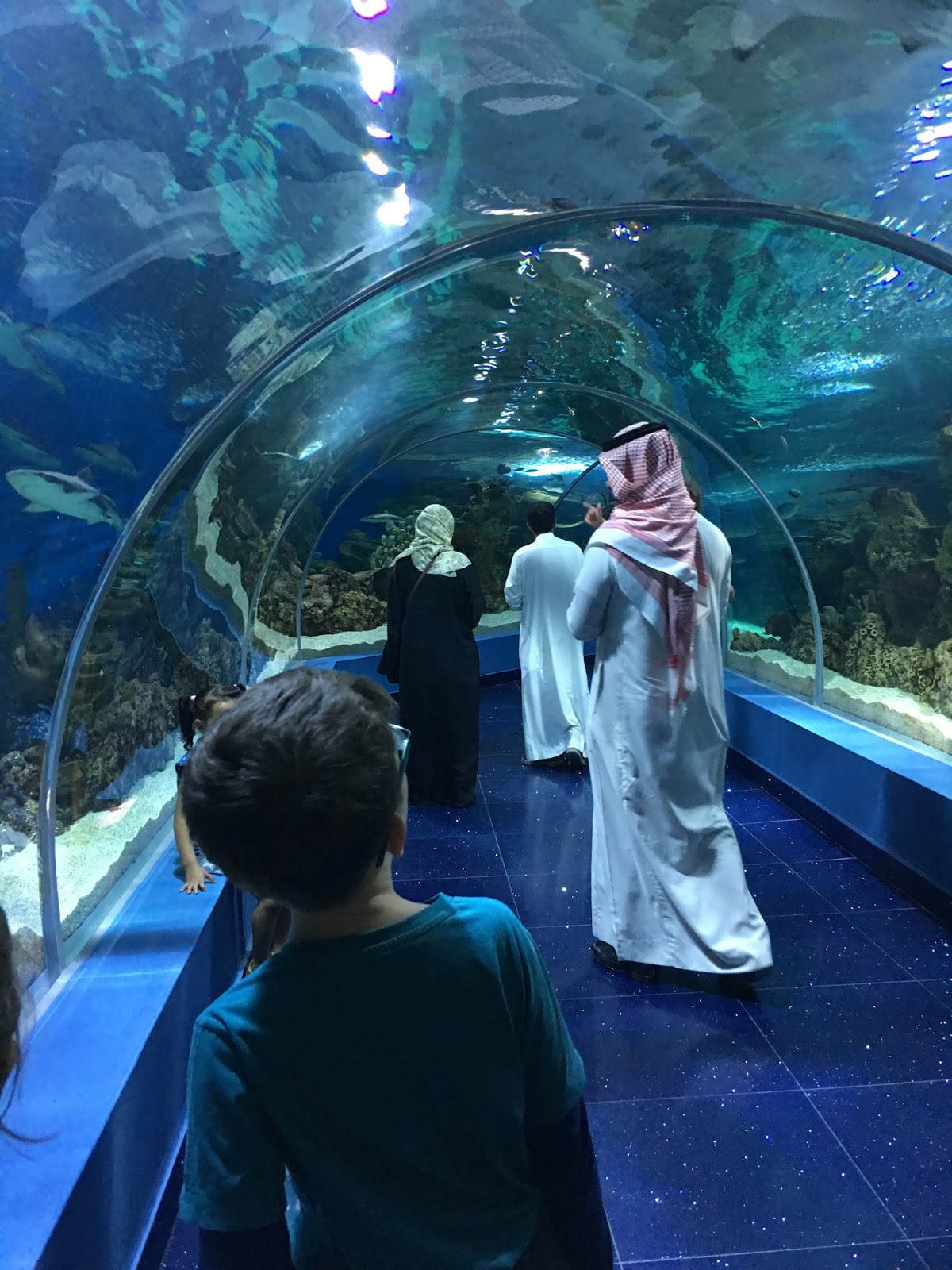 Fakieh Aquarium