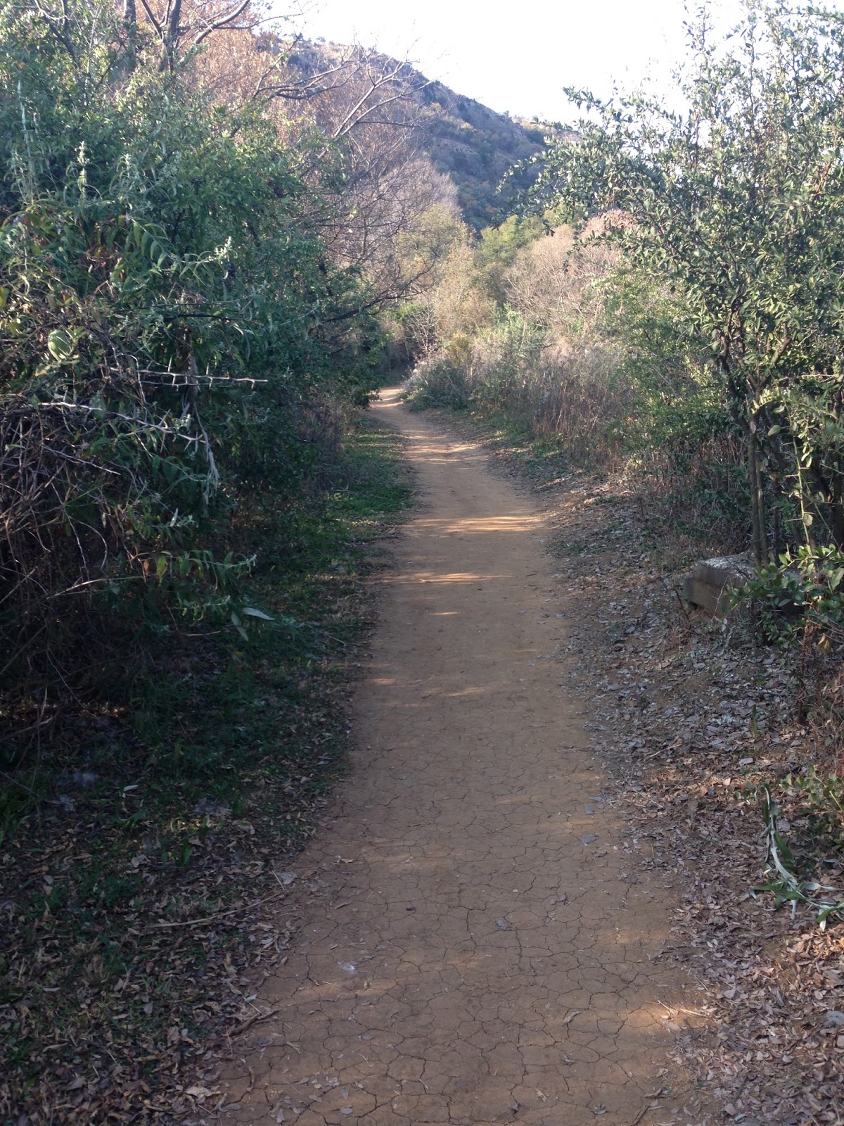 Faerie Glen Nature Reserve