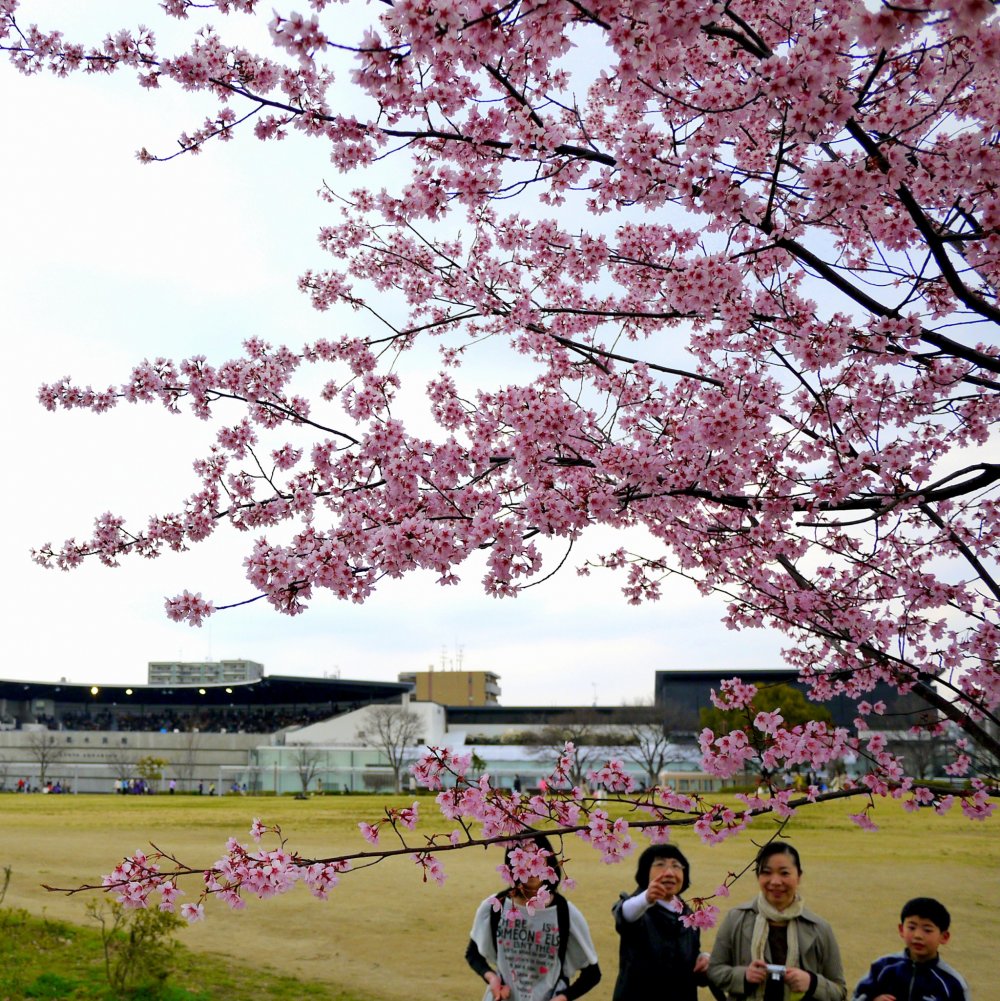 Umekoji Park