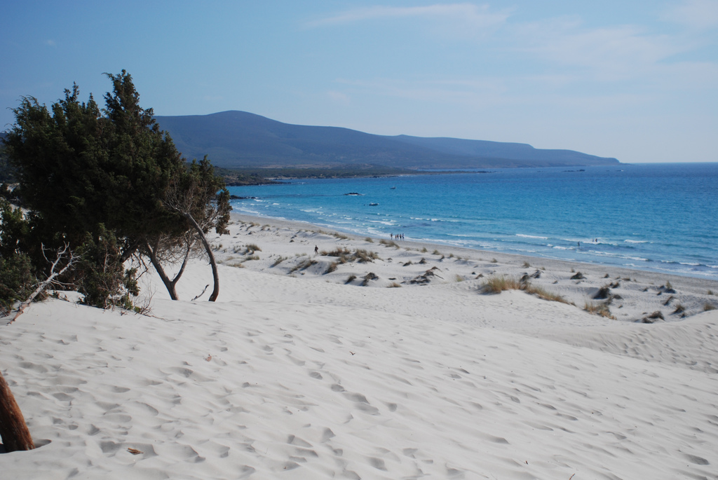 Stagno di Porto Pino