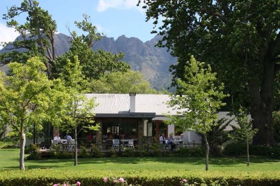 Longridge Wine Estate