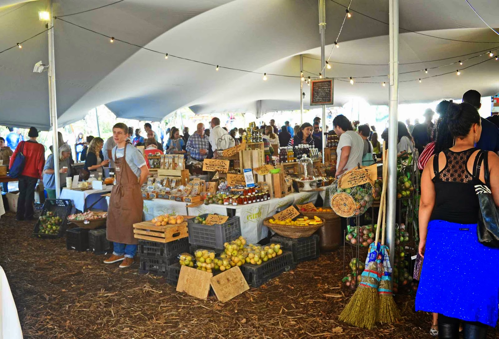 Oranjezicht City Farm and Market Day