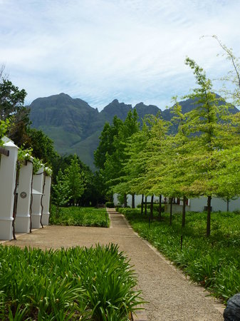 Lourensford Wine Estate