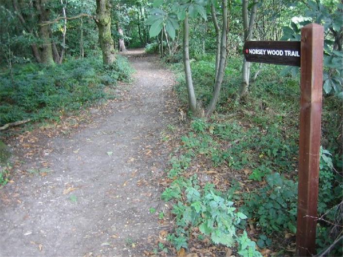 Norsey Wood Local Nature Reserve