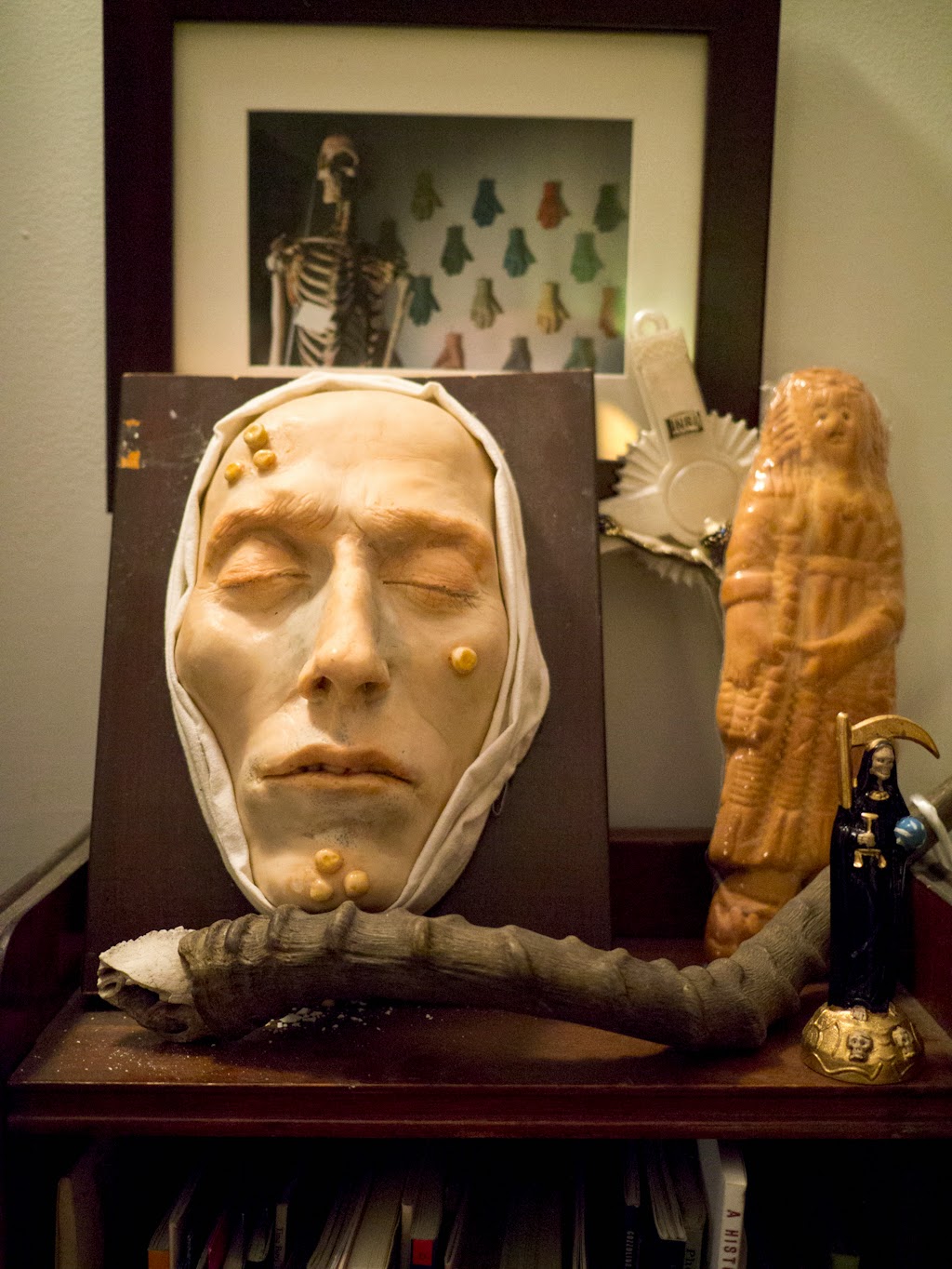 Anatomy Of Death Museum