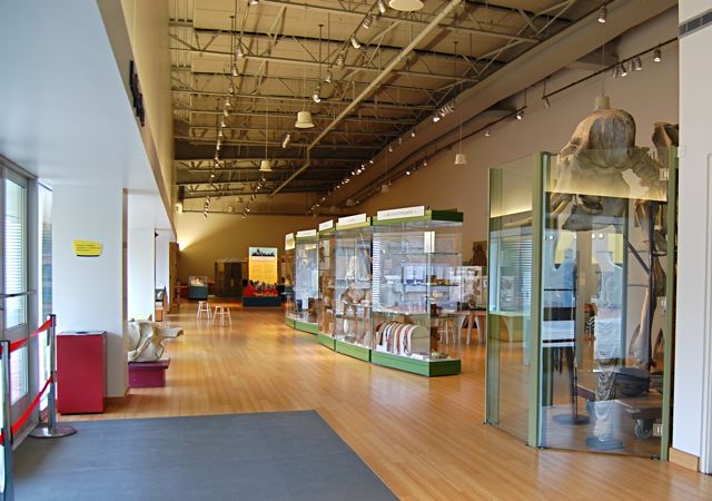 Brooklyn Children's Museum