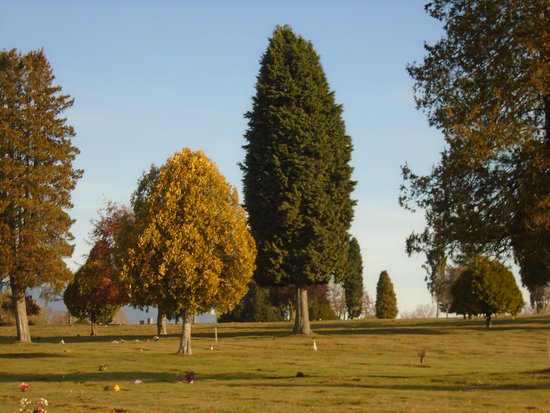 Forest Lawn Memorial Park