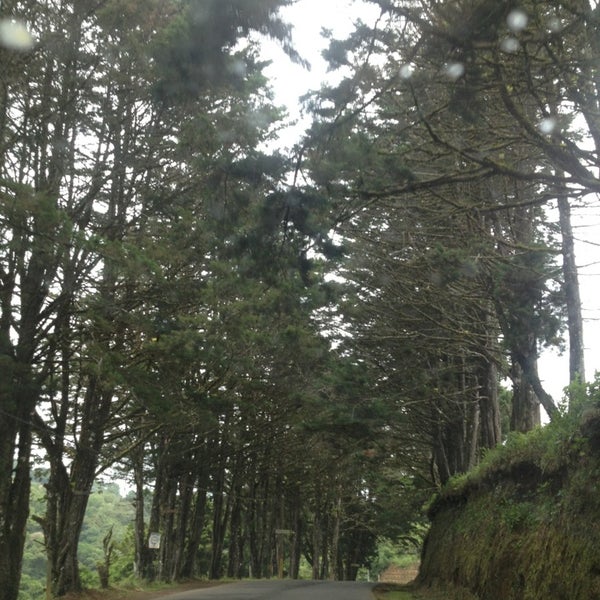 Bosques de Fraijanes