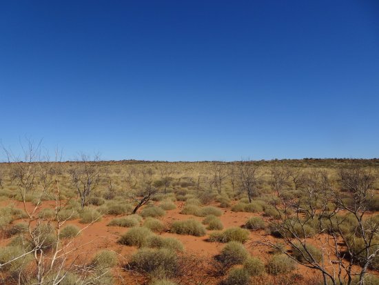 Kennedy Range National Park