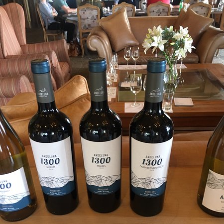 Andeluna Cellars