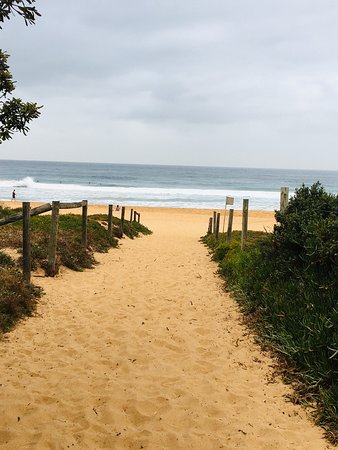Avoca Beach