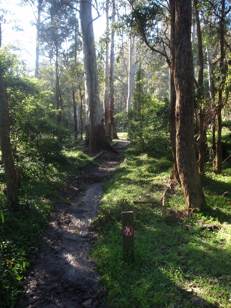 Berowra Valley National Park