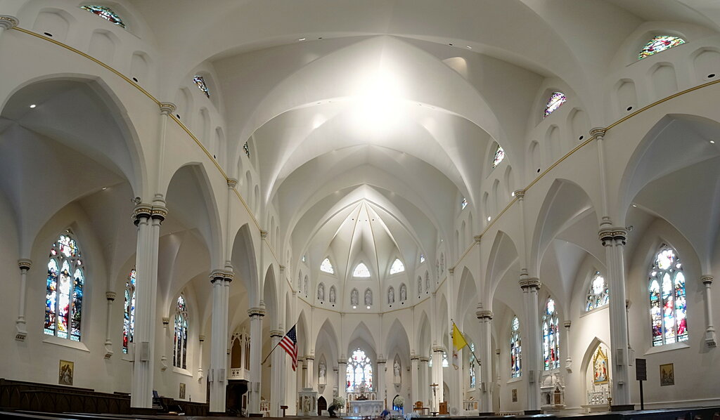 The Cathedral of the Immaculate Conception