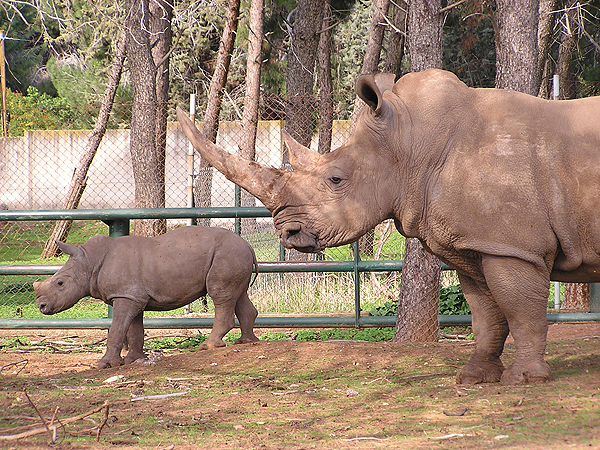 Zoological Center