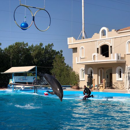 Dolphina Park