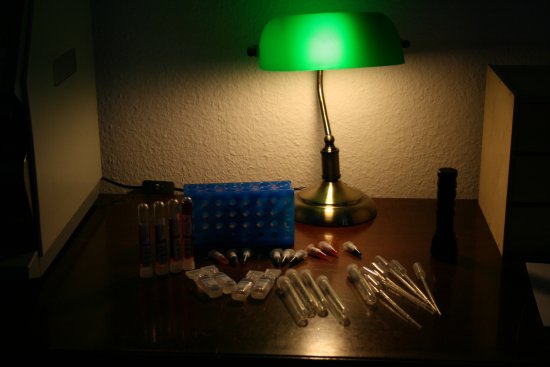 Live Escape Game Lubeck