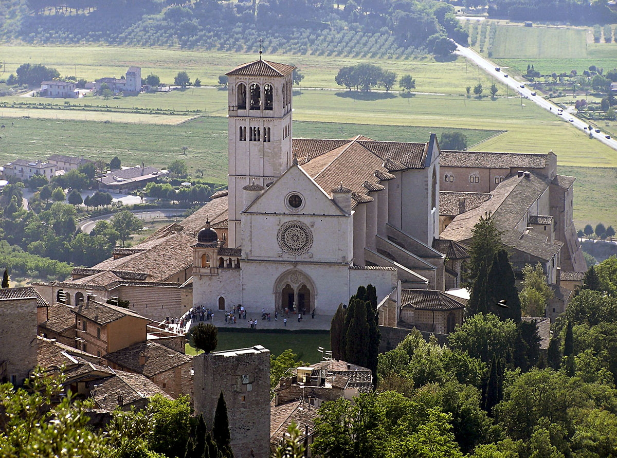 D'Olivo