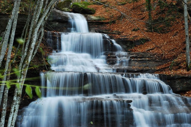 Parco Nazionale delle Foreste Casentinesi, Monte Falterona e Campigna