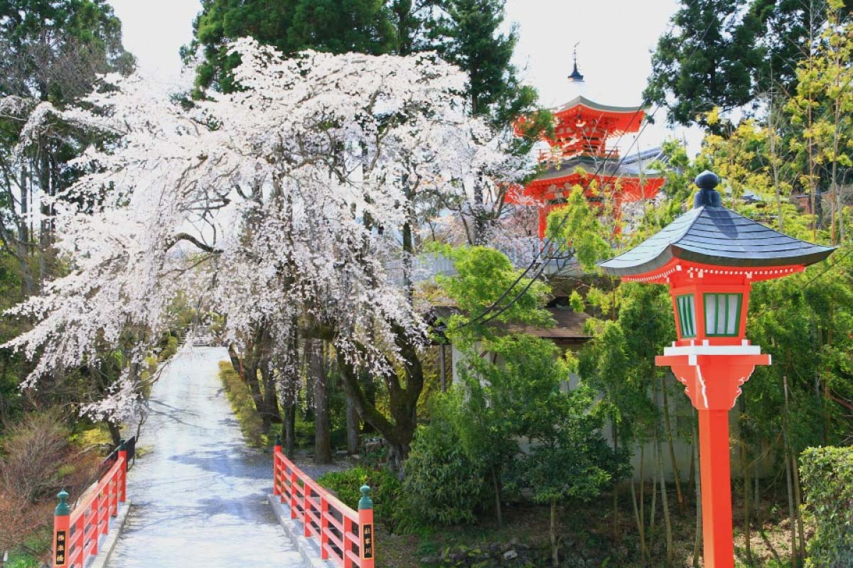 Shoboji Temple