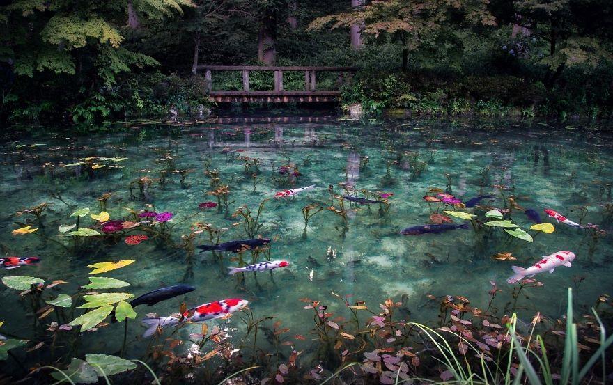 Umaaraiike Pond