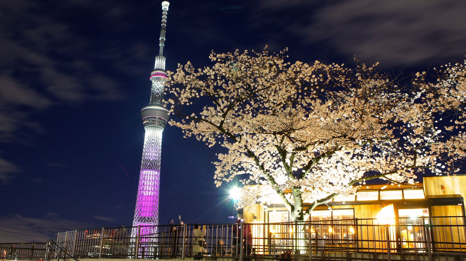 Kitsuregawa Sky Tower