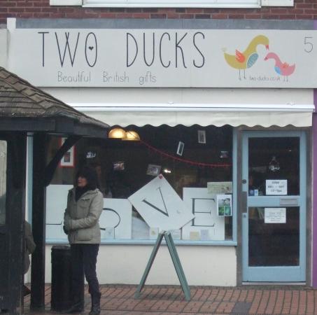Two Ducks