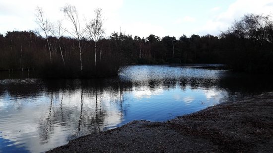 Lightwater Country Park