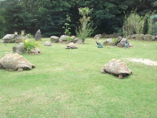 Paignton Zoo Environmental Park