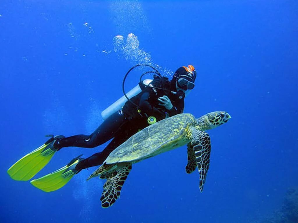 Tapro Diving