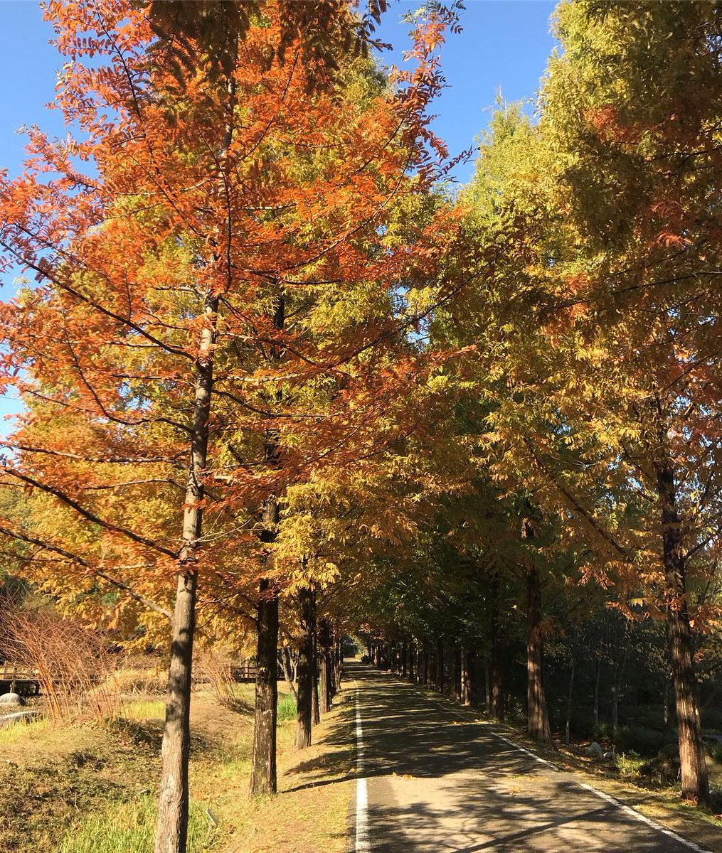 Mulhyanggi Arboretum