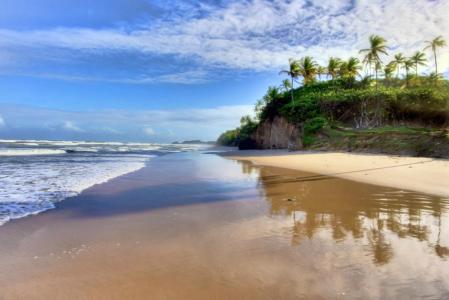 Mayaro Bay
